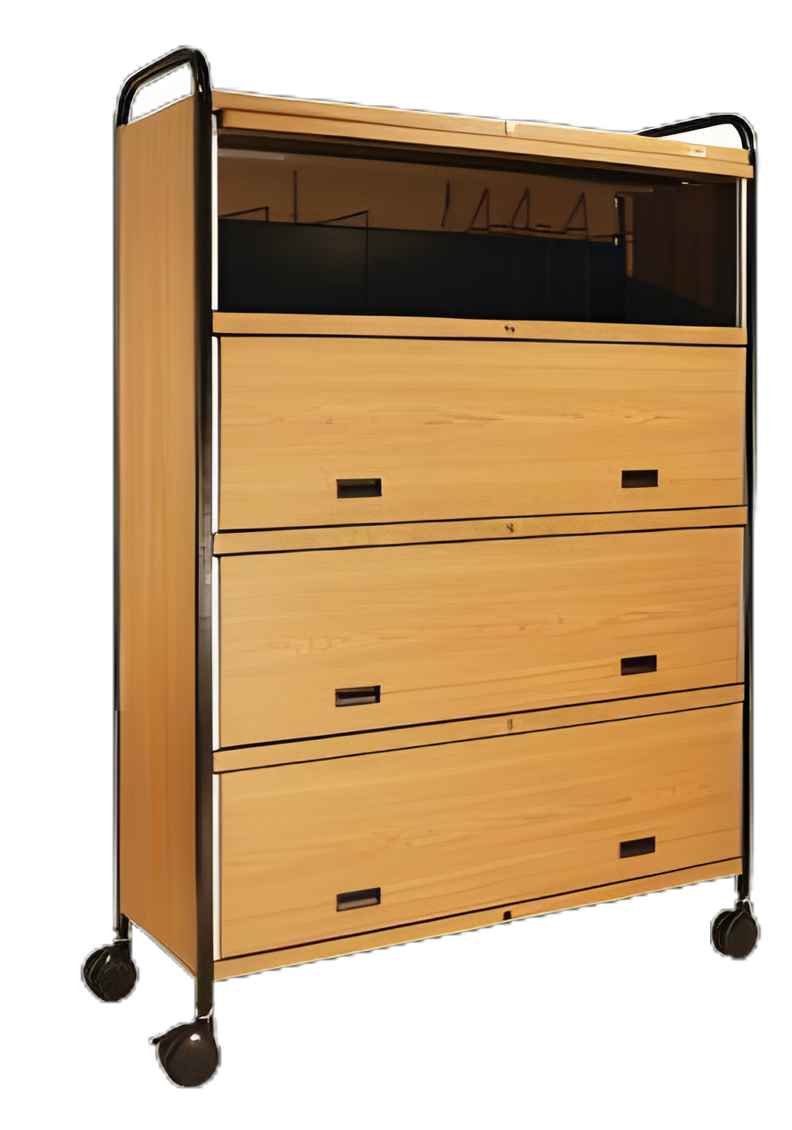 Mov-It Elite Series II Chart Rack - 5 Shelves, Steel/Vinyl, Oak, HIPAA-Compliant Storage