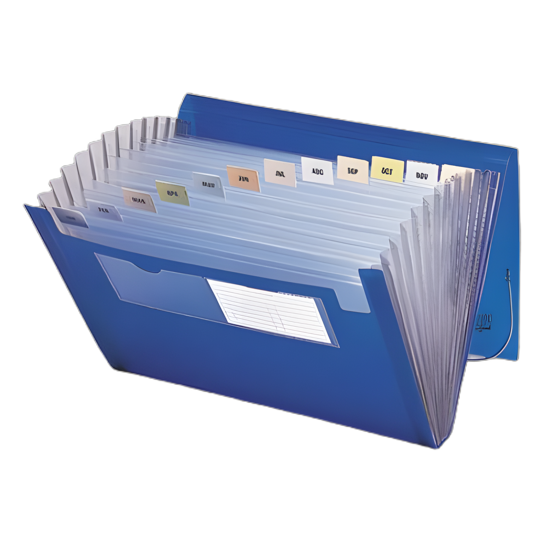 Expanding File With Color Tab Inserts, 9" Expansion, 12 Sections, Elastic Cord Closure, 1/12-Cut Tabs, Letter Size, Blue