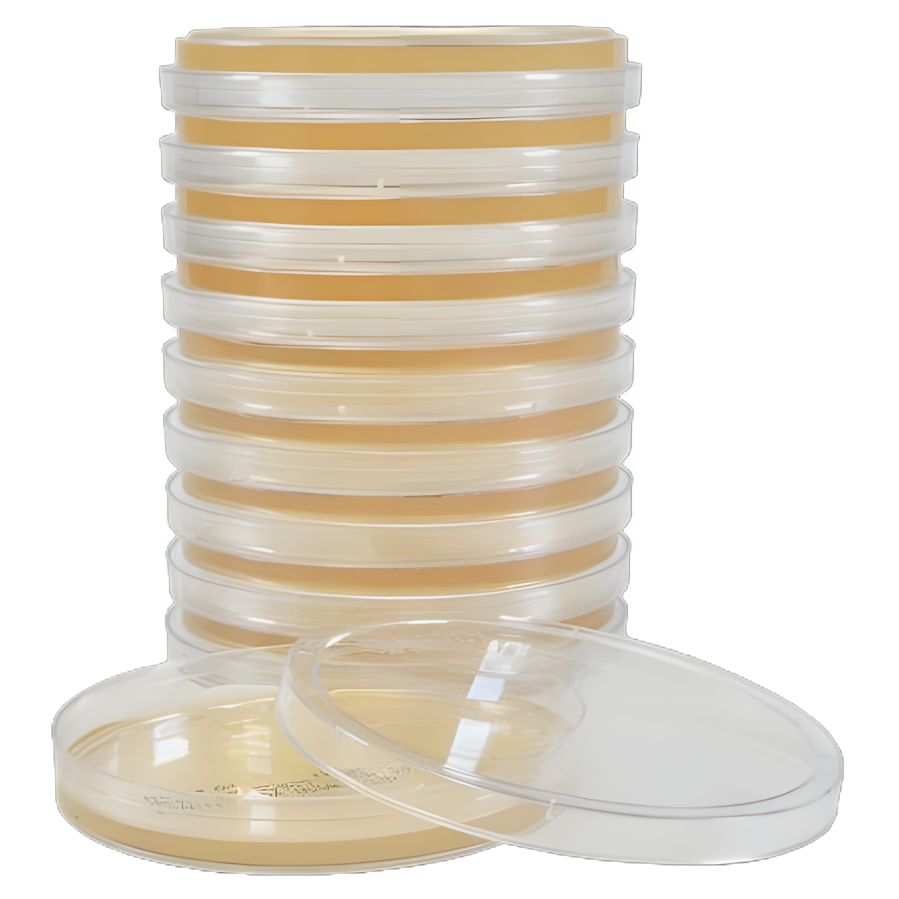 Prepared Media Tryptic Soy Agar (TSA) Deep Fill Plate - Hardy Diagnostics