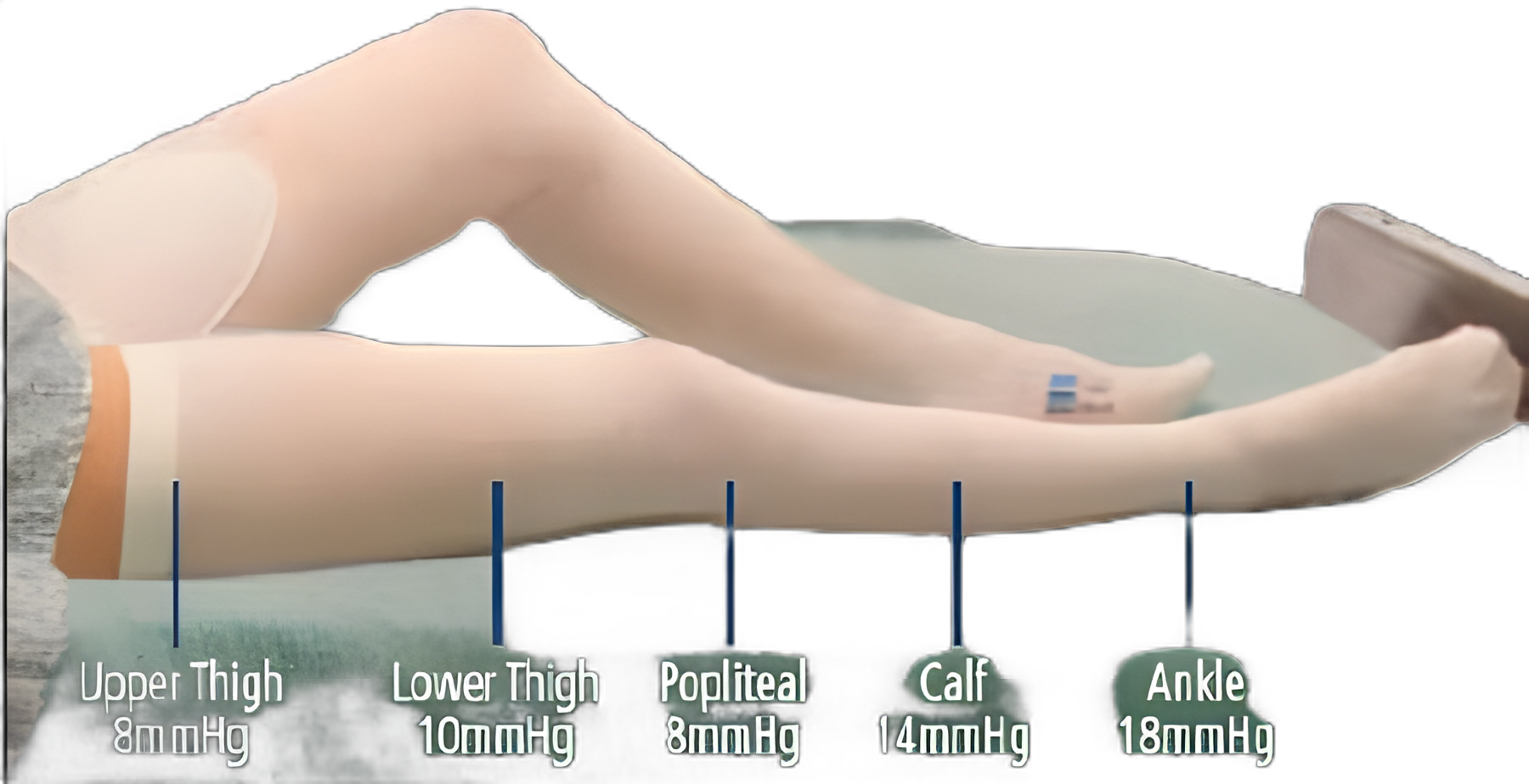 Anti-embolism Stocking T.E.D.™ Thigh High 2X-Large / Long White Inspection Toe
