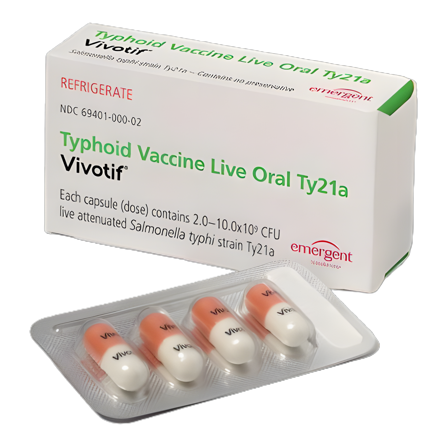 Vivotif® Oral Typhoid Vaccine Live Ty21a - 4 Capsule Blister Pack for Adults & Children Over 6
