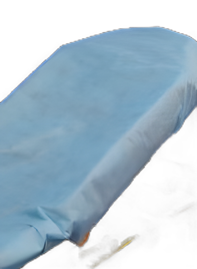 SureFit™ Fitted Stretcher Sheet 30W x 84L Inch - Blue Impervious Nonwoven Polypropylene, Disposable