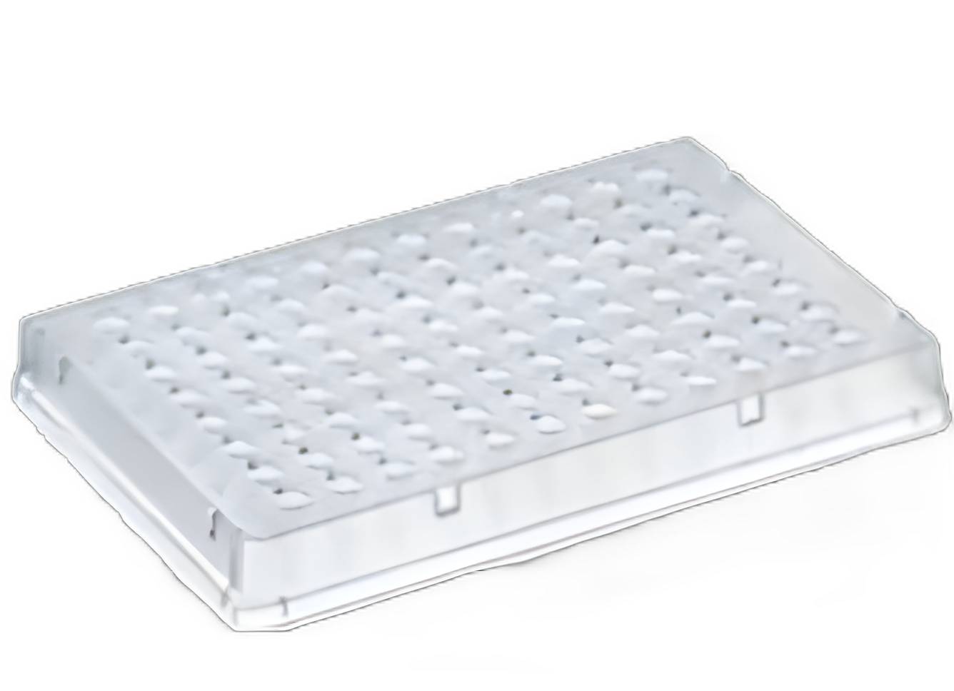 96-Well PCR Plate Thermo Scientific™ Low Profile / Thin Walled 0.2 mL Clear NonSterile