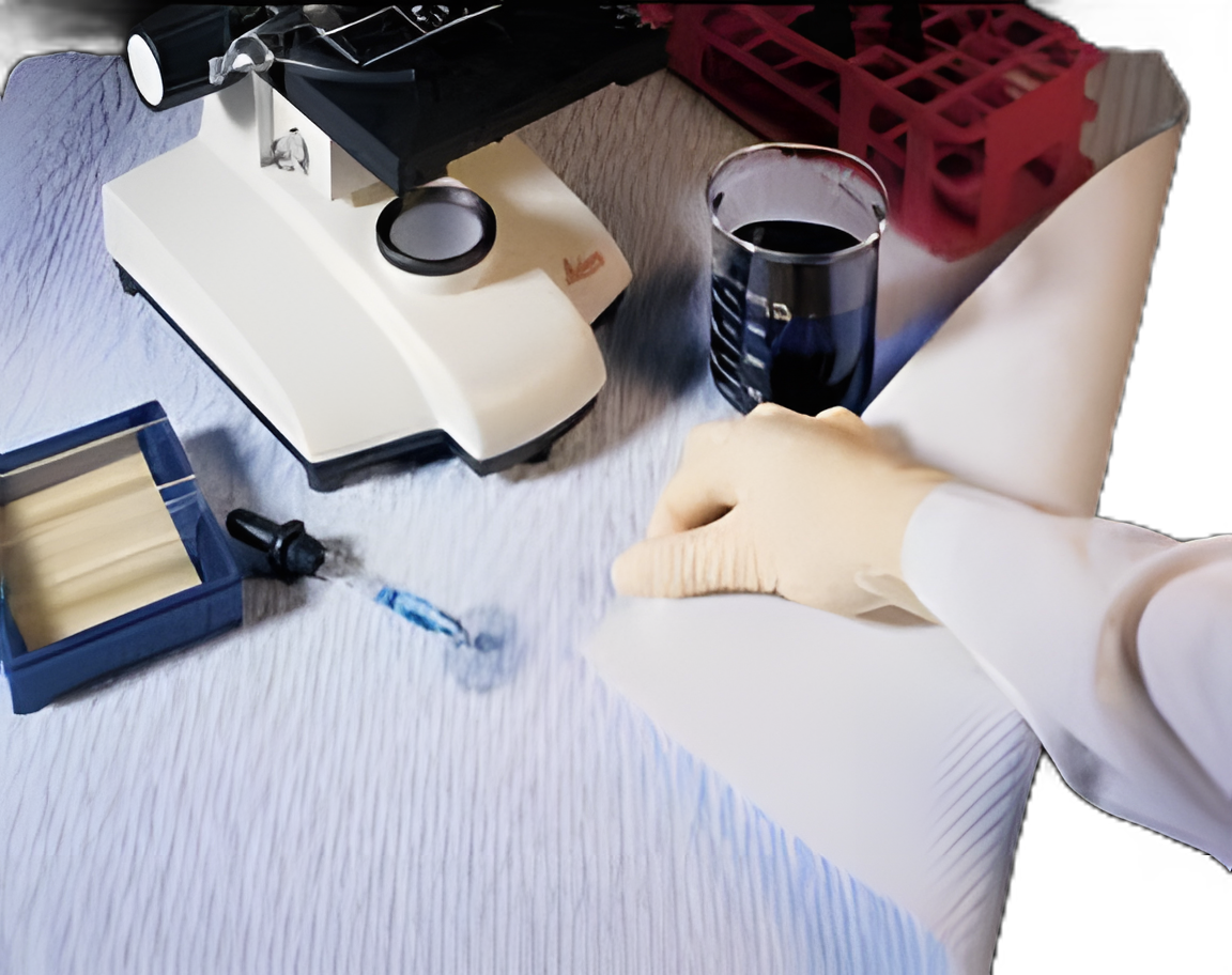 Absorbent Underpad Fisherbrand™ For Laboratory Benchtop