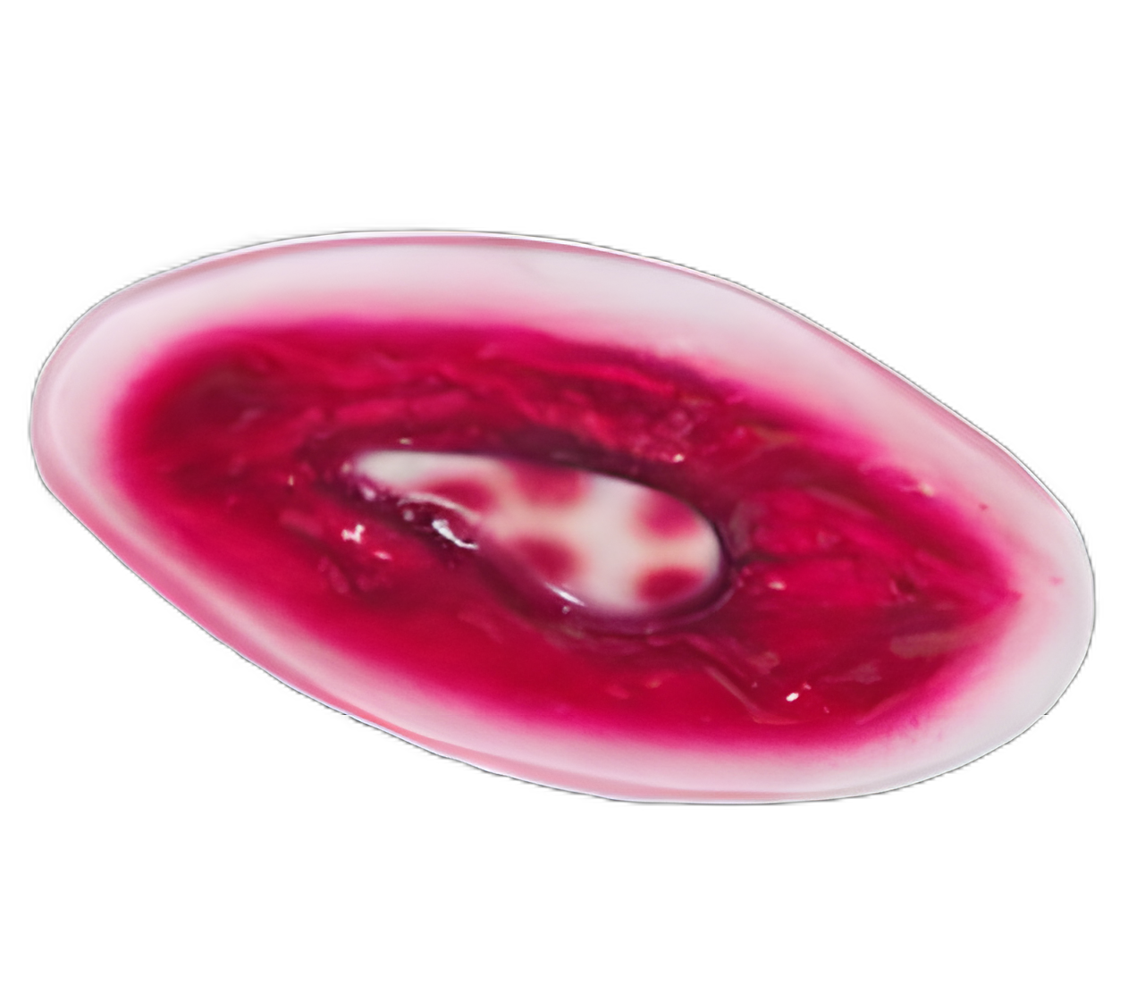 Nasco Healthcare Chest Wound Simulator for Medical Training