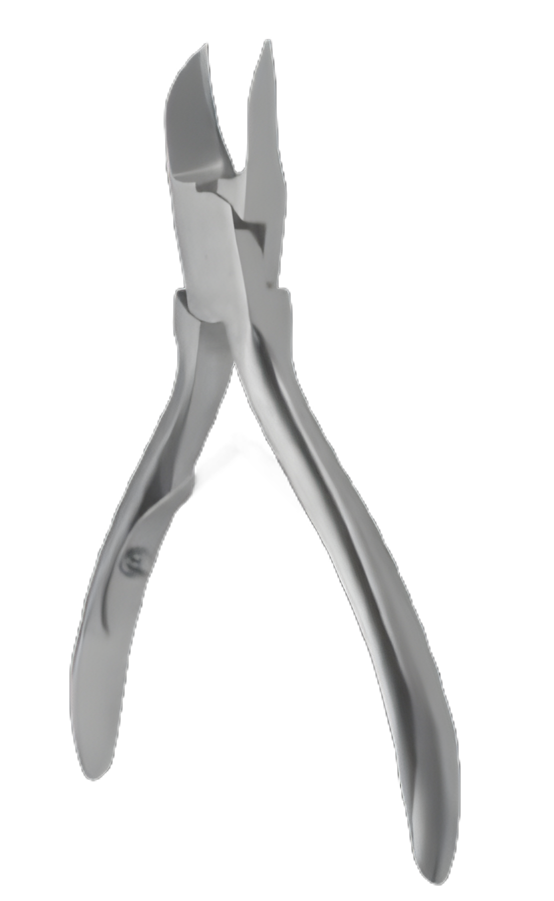 Nail Nipper Convex Jaw 4-3/4 Inch Stainless Steel