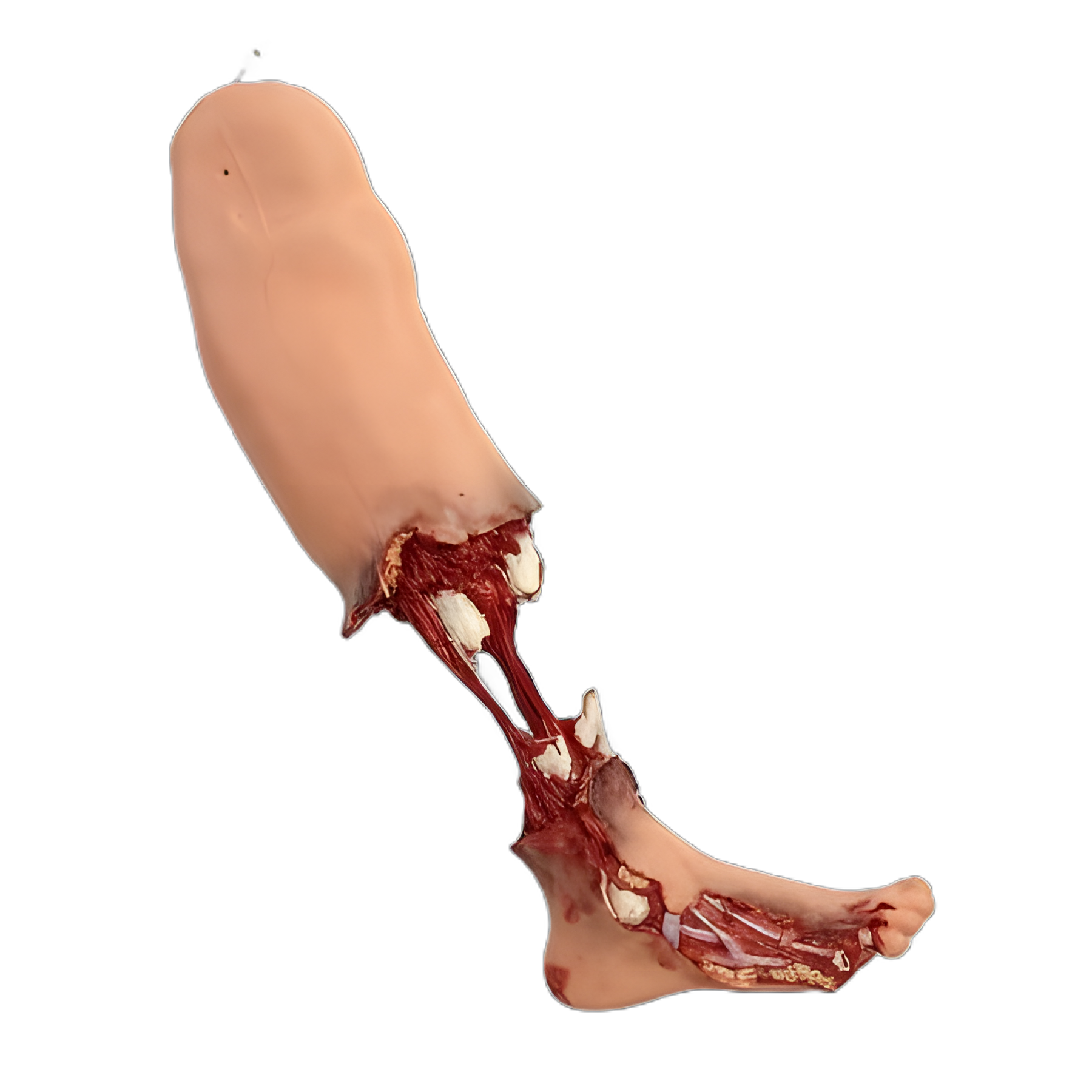 Simulaids® Xtreme Trauma Bleeding Leg Manikin for Advanced Medical Training