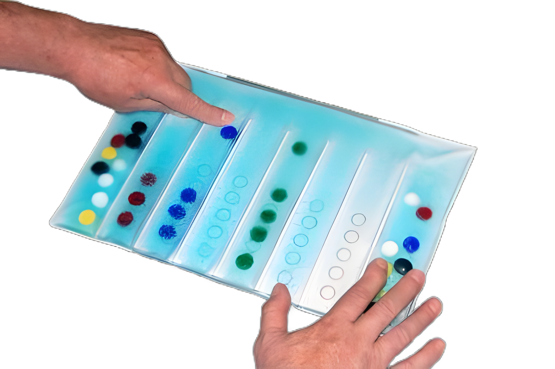 Number-Color Association Pad
