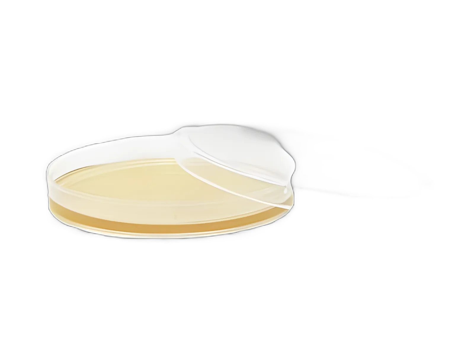 Prepared Media Tryptic Soy Agar (TSA) Plates with Lecithin & Tween for Microbial Cultivation