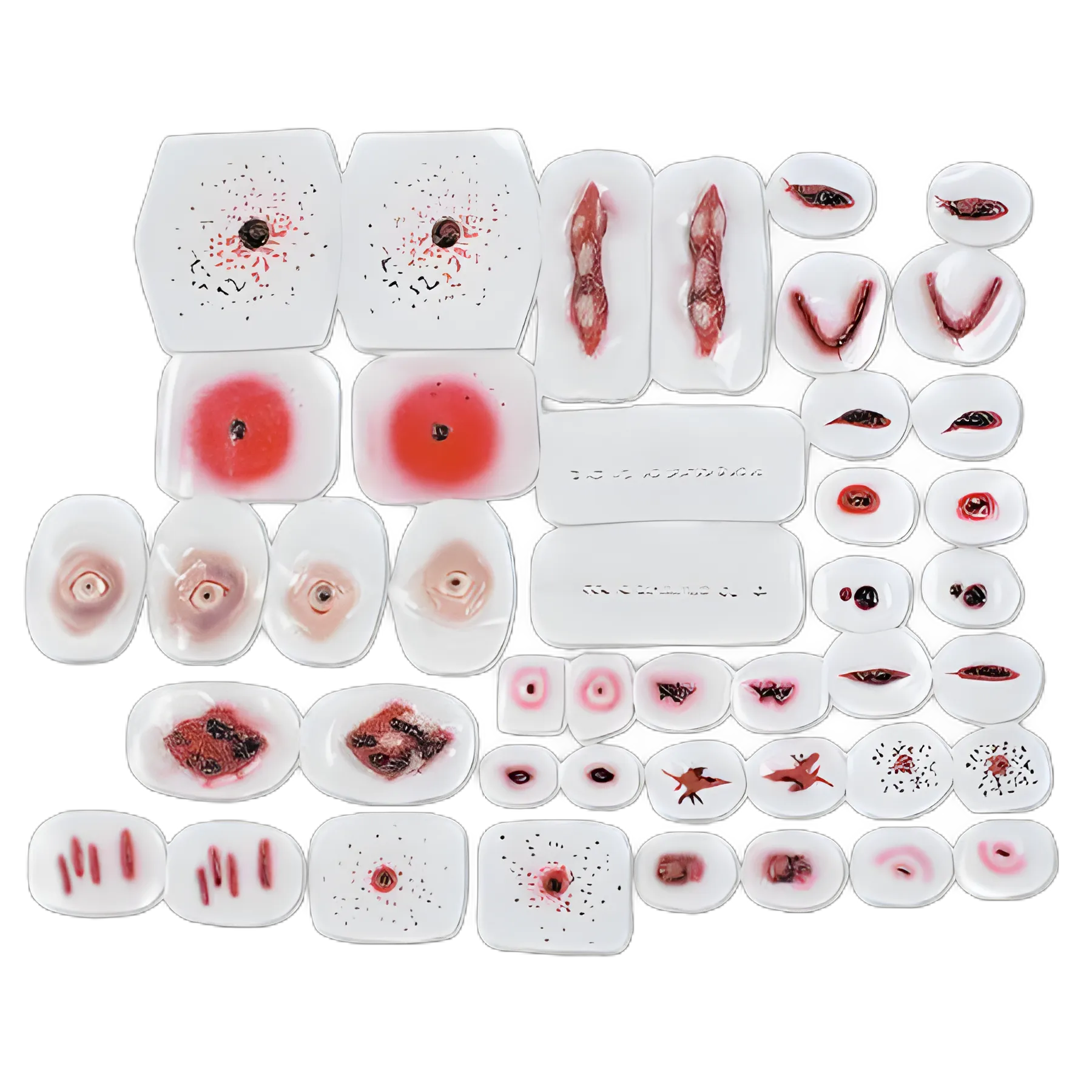 Nasco Healthcare Forensic Wound Simulation Pack 1-1/2 lbs