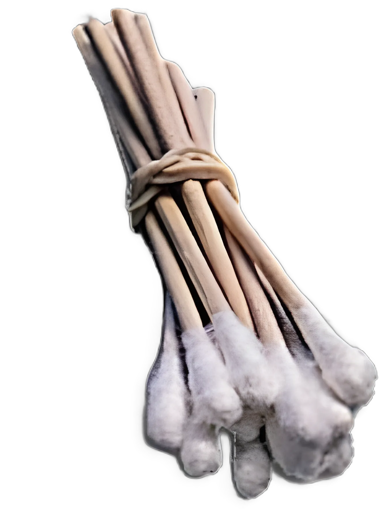 Swabstick Bioseal® Cotton Tip Wood Shaft 3 Inch Sterile 5 per Pack