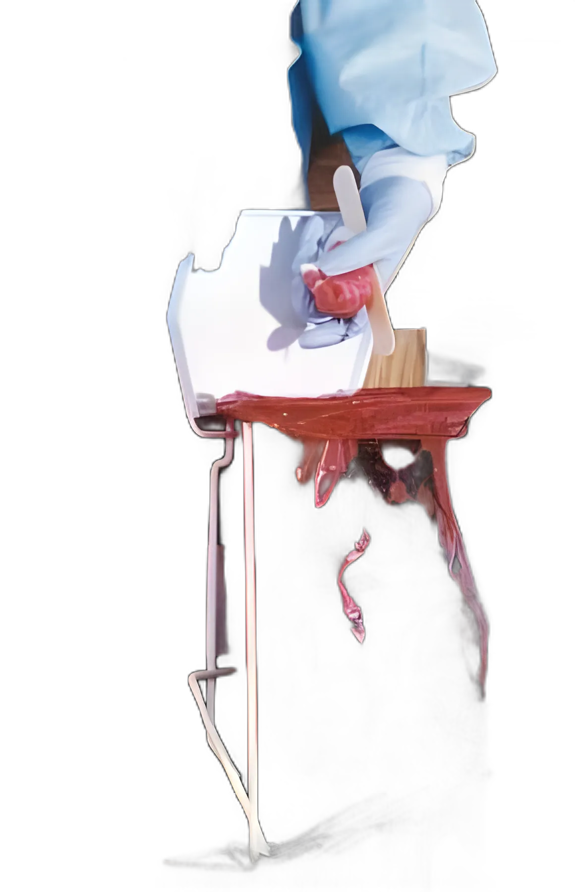 productImage