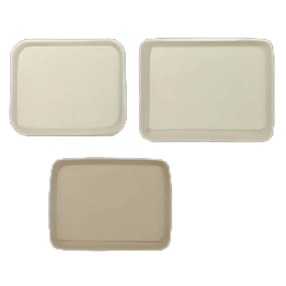 Tray Chinet® 9 X 12 X 1 Inch White Molded Fiber