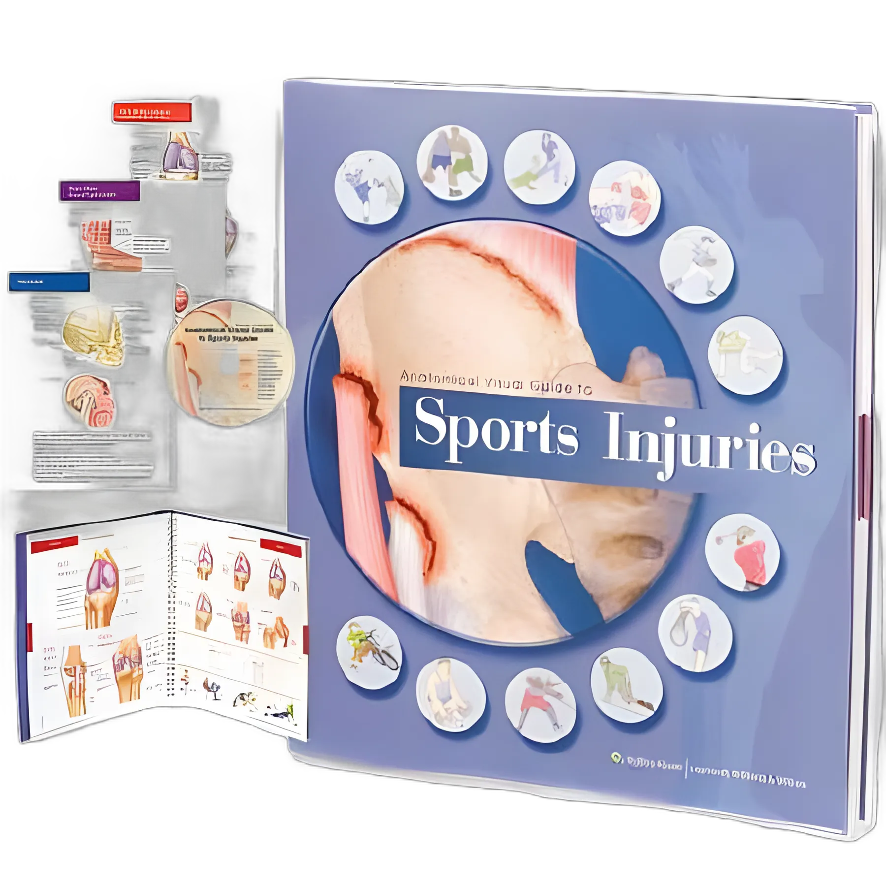 Reference Book Anatomical Visual Guide to Sports Injuries