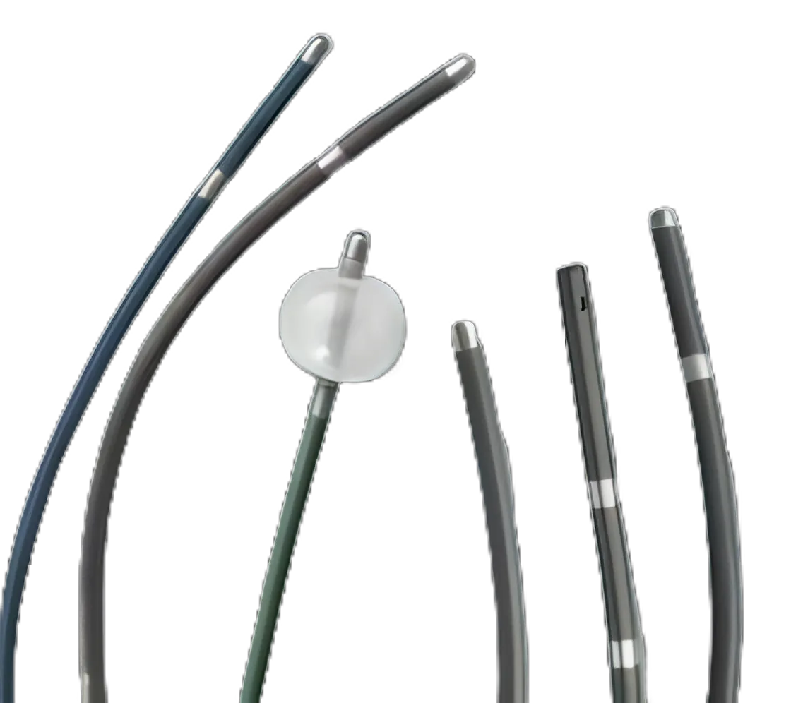Electrode Catheter