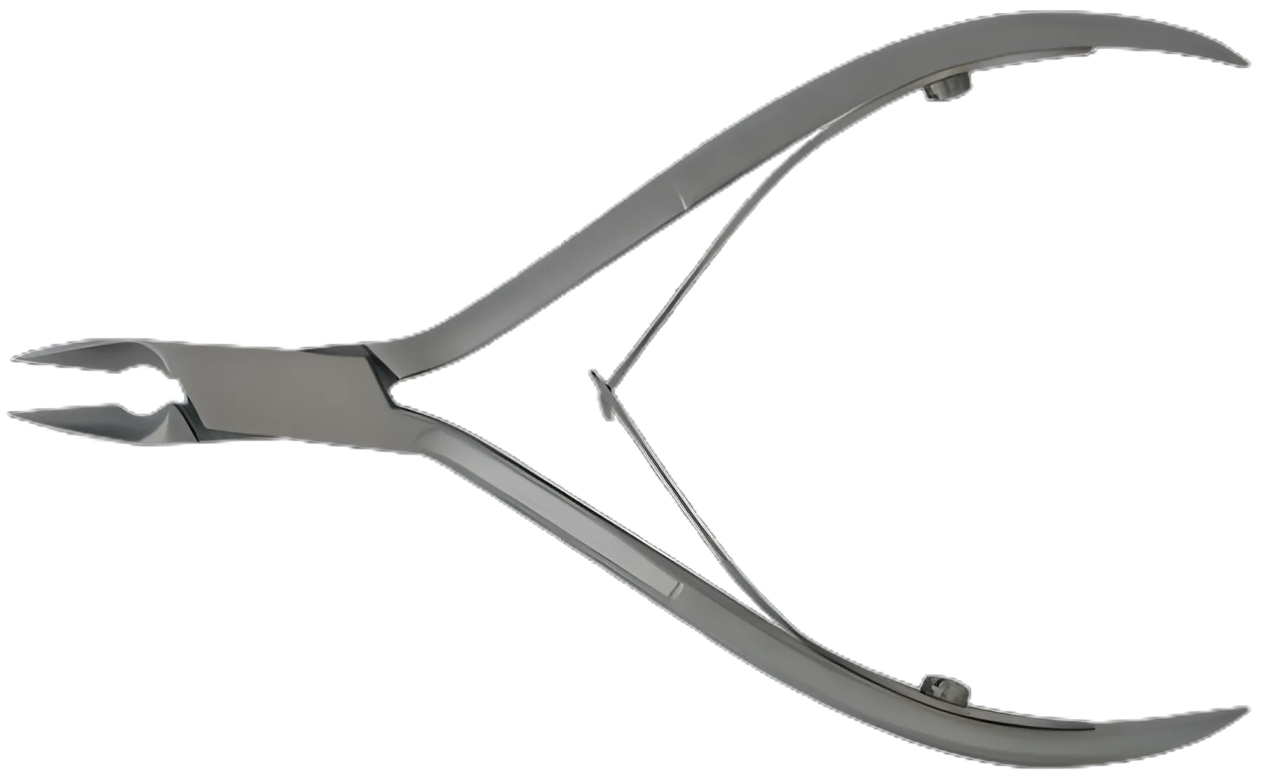 Nail Nipper Convex Jaw 4 Inch Length Stainless Steel