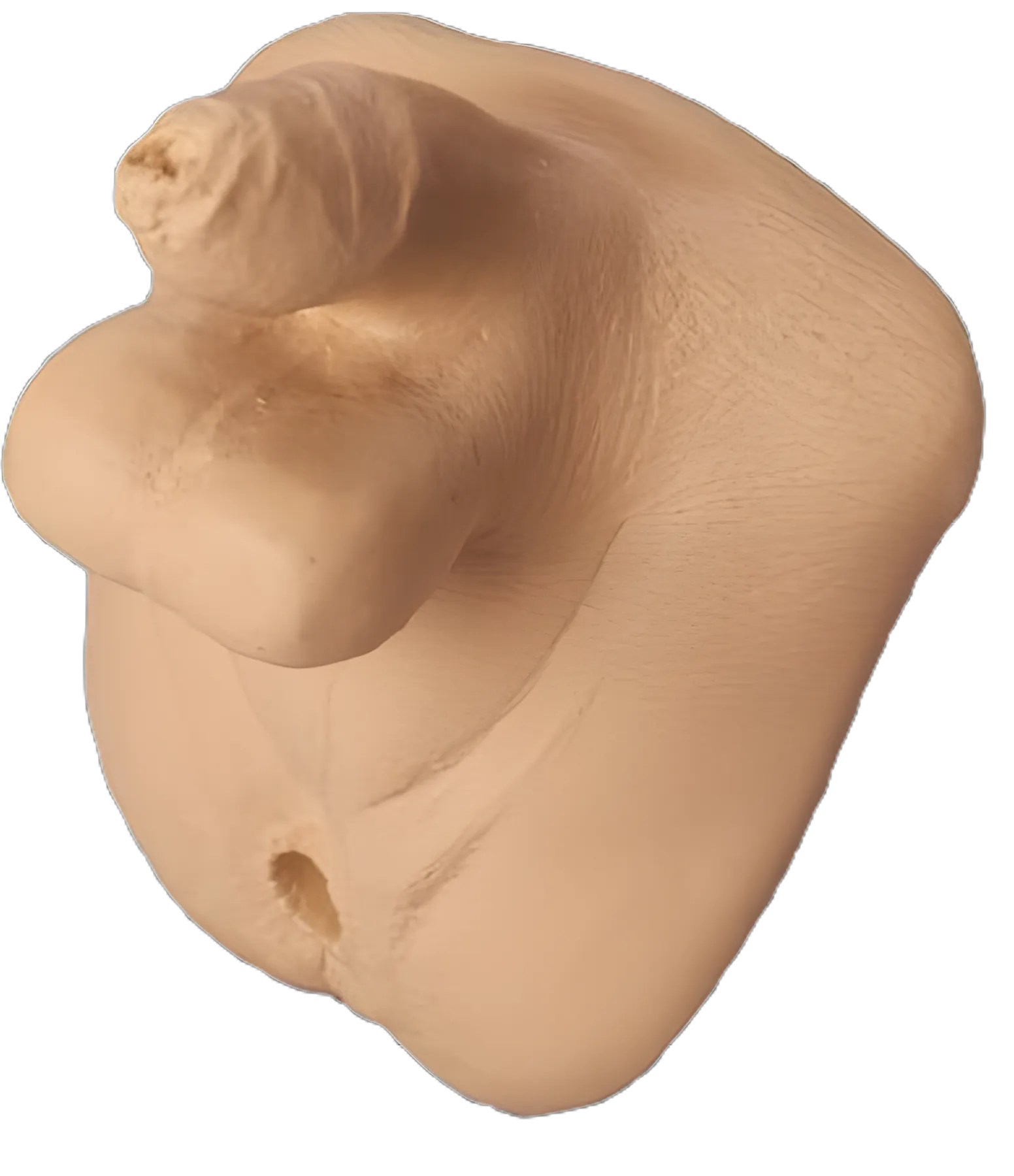 Life/form Geri Male Replacement Genitalia for Nursing Manikins