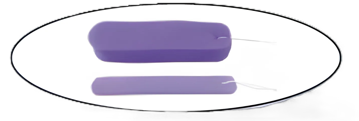 Nasal Packing Blu™ Non-impregnated 1.5 X 2.5 X 10 cm