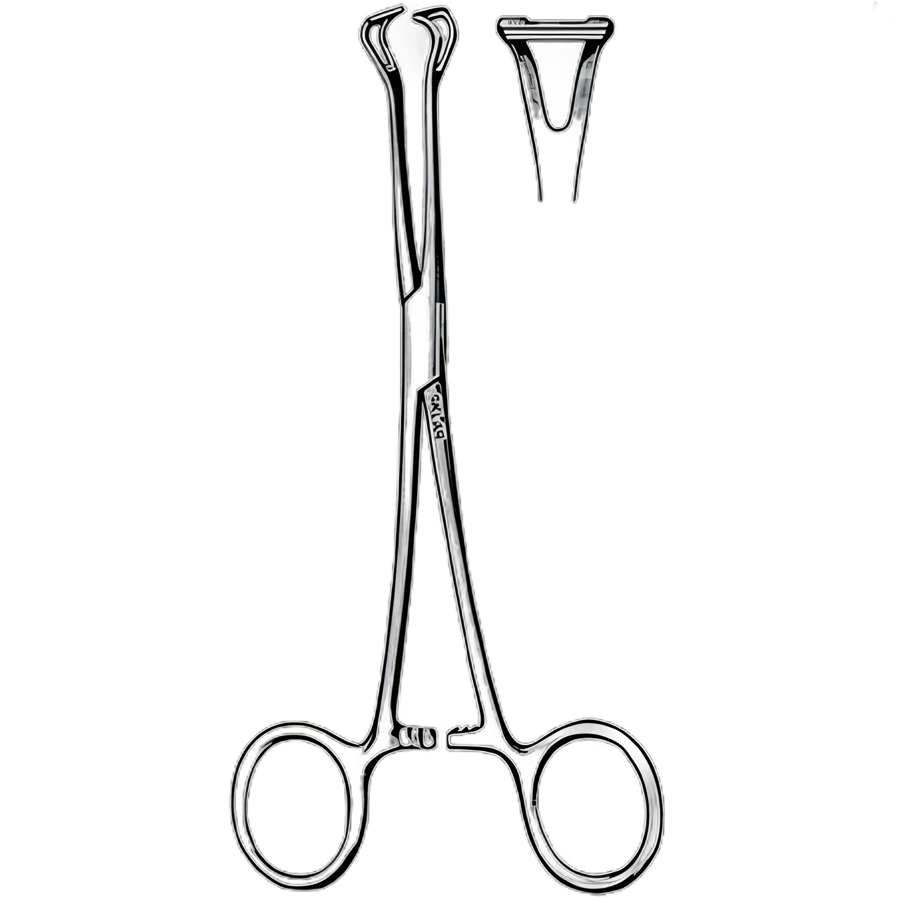 Tissue Grasping Forceps Babcock 5-1/2 Inch Length Surgical Grade Stainless Steel NonSterile Ratchet Lock Finger Ring Handle