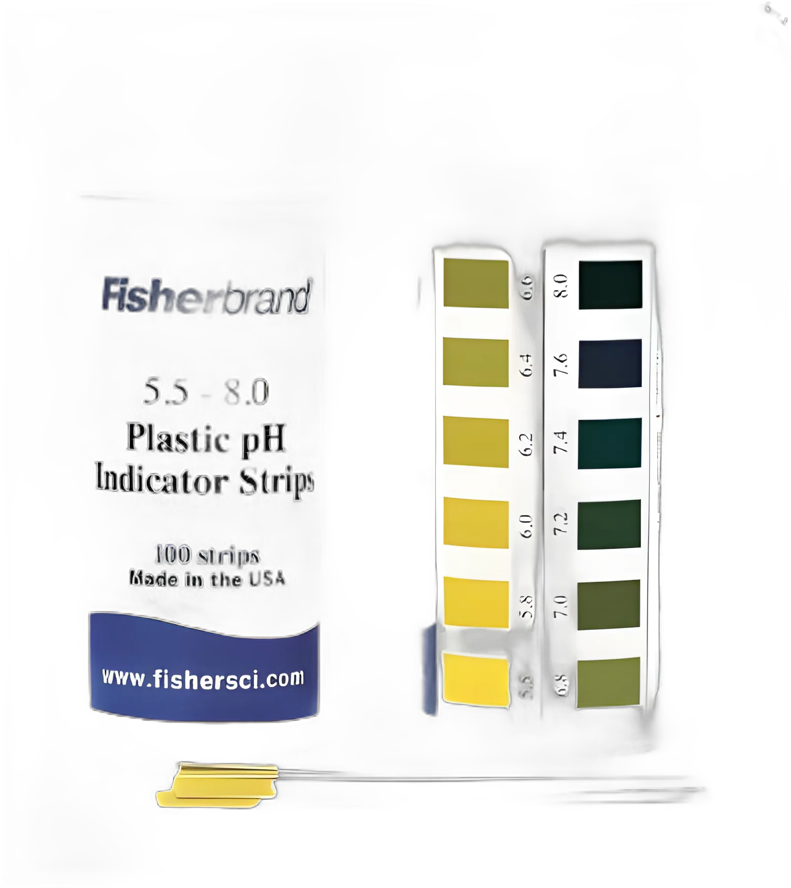 pH Test Strip Fisherbrand™ 5.5 to 8.0 - S04675