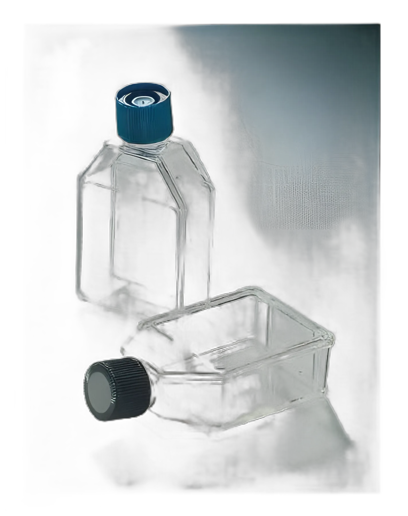 Falcon® Tissue Culture Flasks - Polystyrene, 70mL to 225mL
