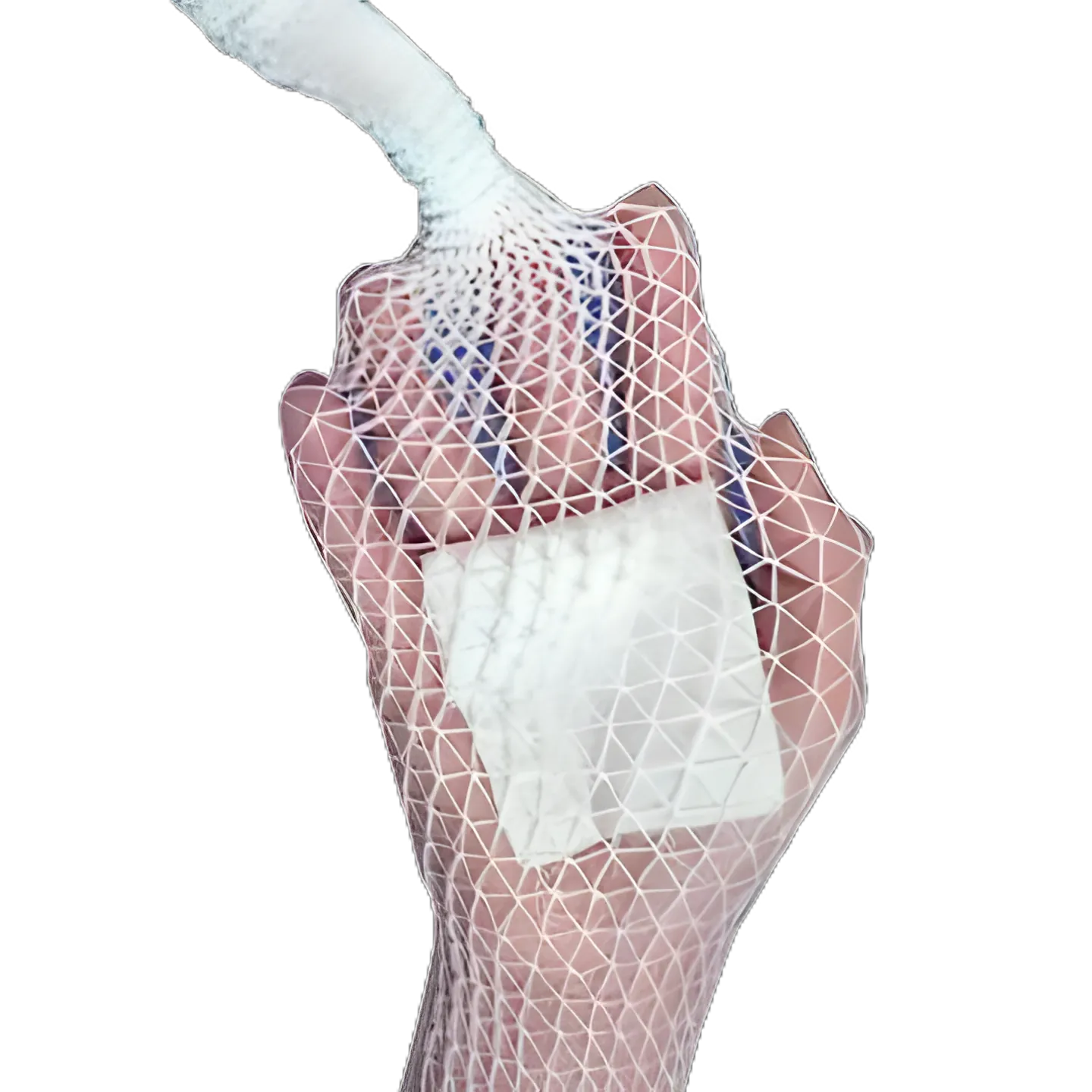 Elastic Net Retainer Dressing Stretch Net™ Tubular Elastic 25 Yard Size 12 White X-Large Torso NonSterile