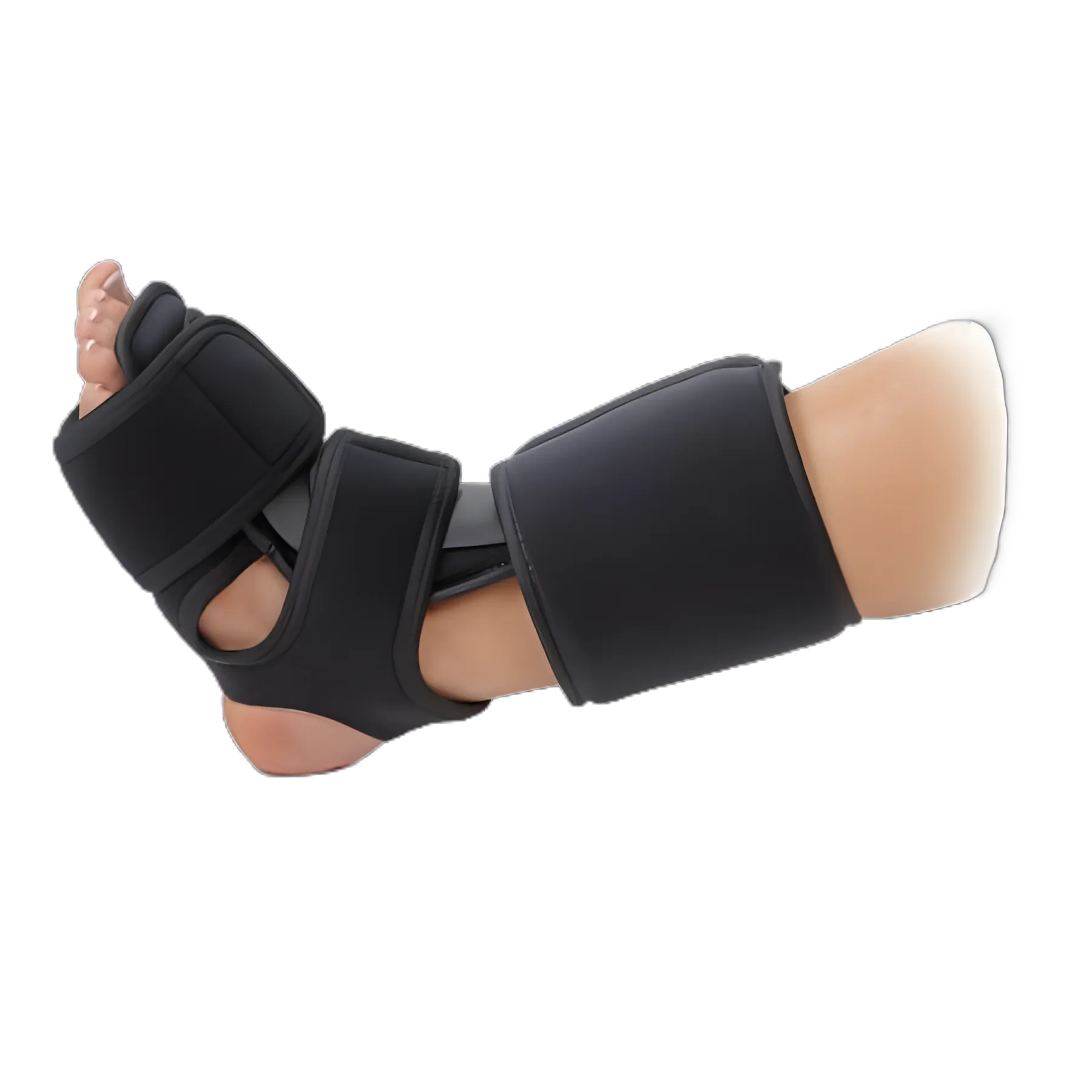 Night Splint Dorsal Large Hook and Loop Strap Closure Male 9 to 14 / Female 10 to 15 Foot