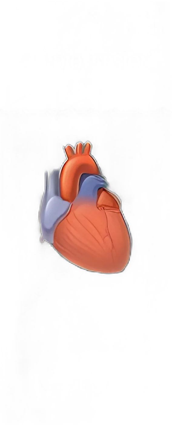 Patient Brochure Krames® Cardioversion AHA