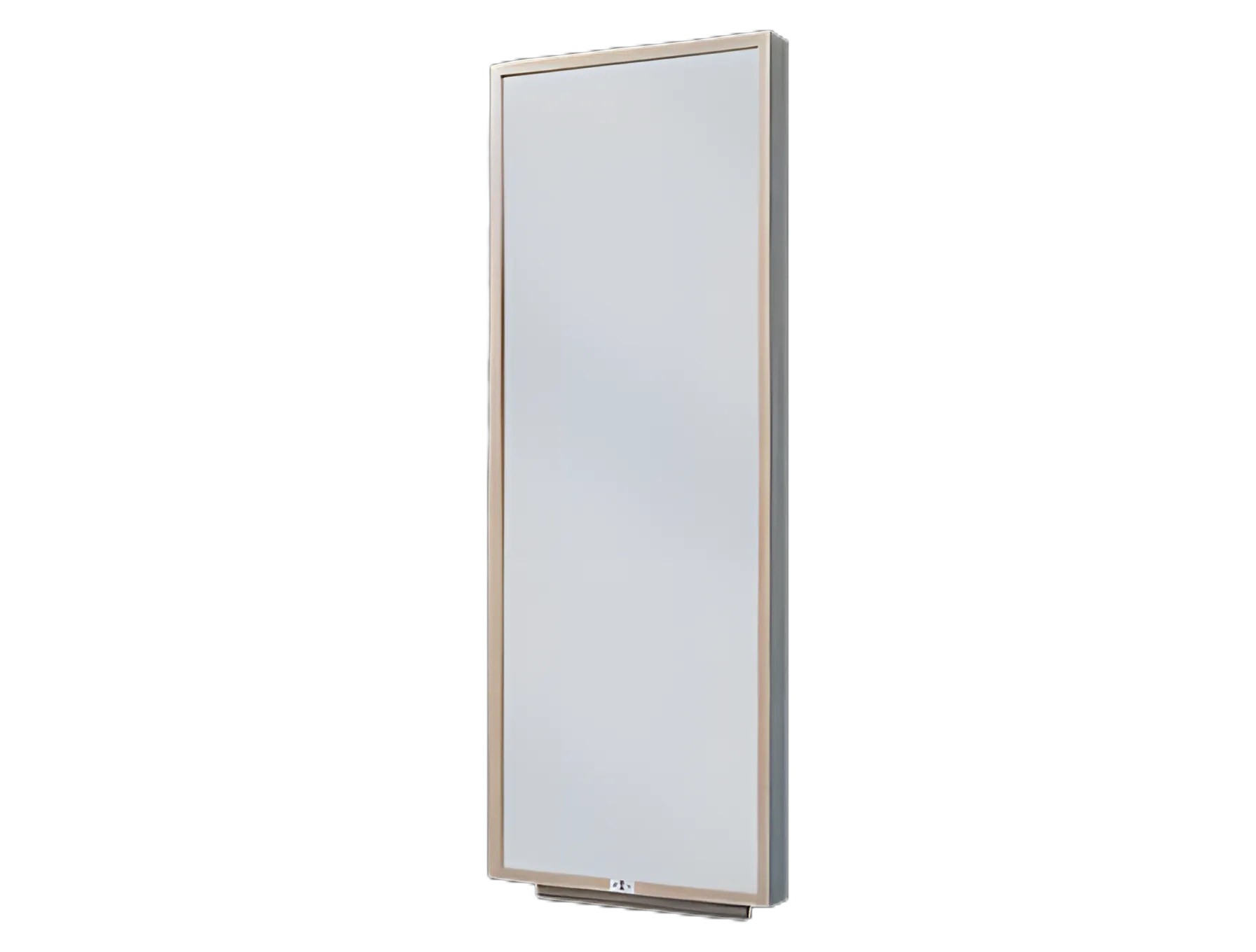 Wall Mount Mirror 4 X 24 X 66 Inch