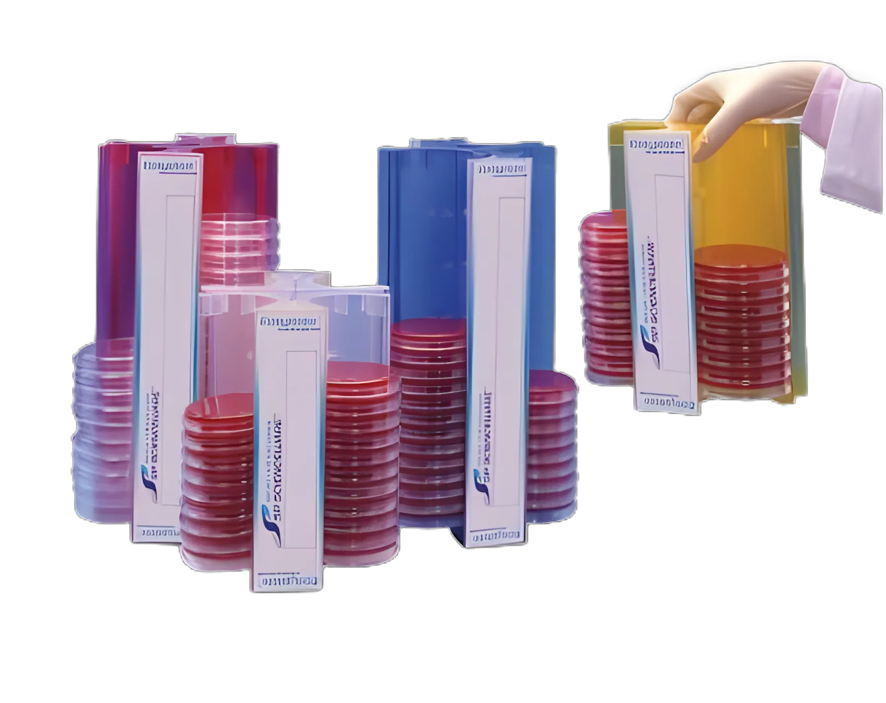 Easyplate™ Petri Dish Rack by Bel-Art Products - Secure and Durable Laboratory Equipment