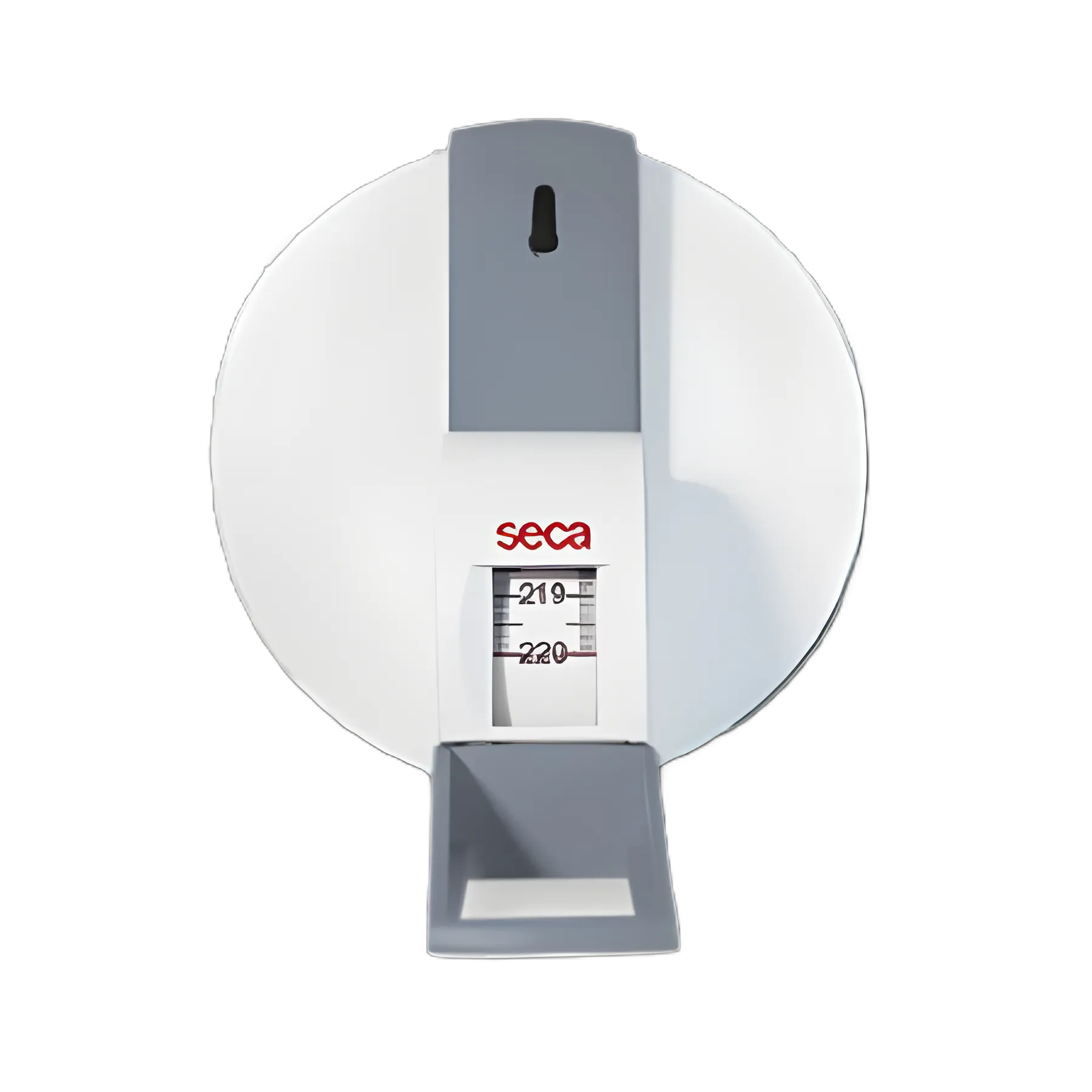 Wall-mounted Measurement Tape/Centimeters seca® 206 220 cm Metal Reusable Centimeters