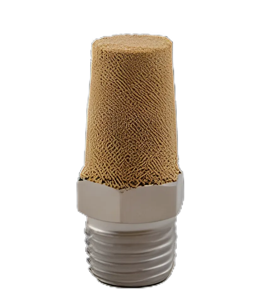 Filter For Withdrawal Tube
