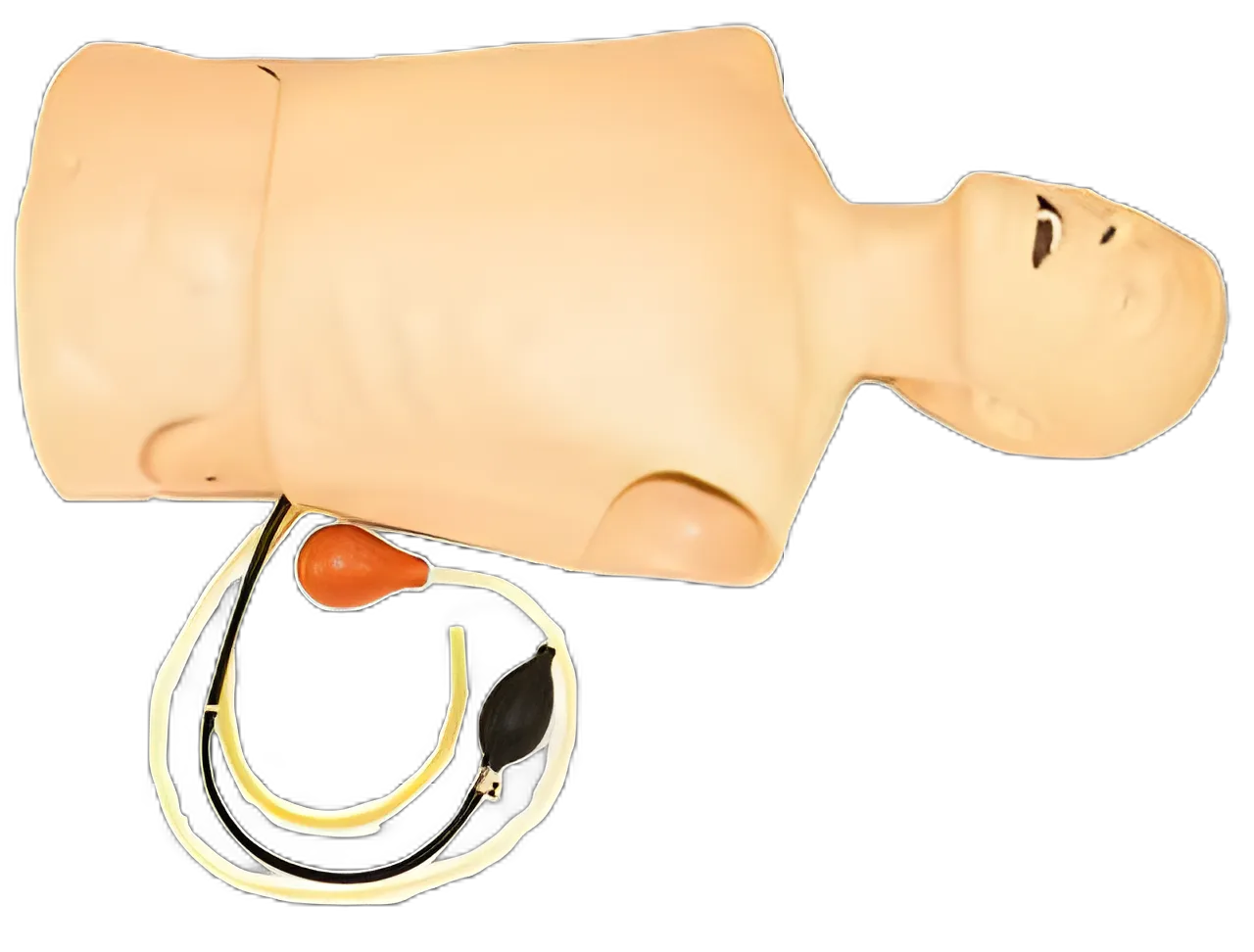 Laerdal AT Kelly Torso Manikin for Airway Management Training - Adult Male