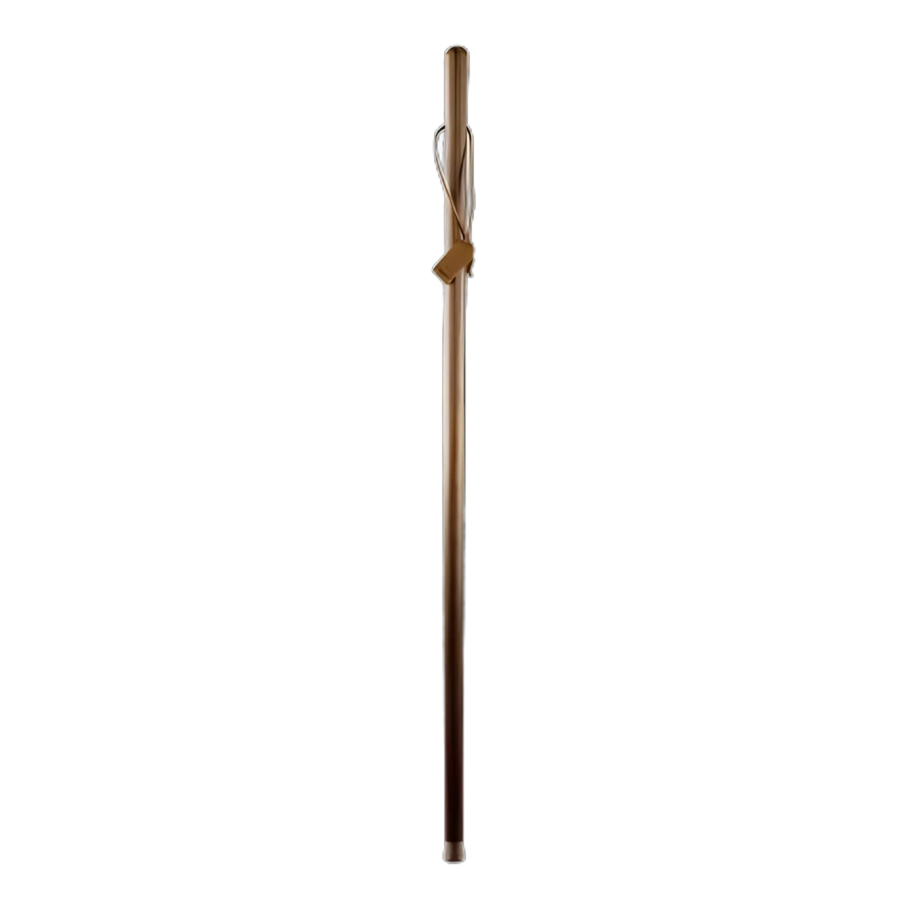 Walking Stick Brazos™ Free Form Wood 48 Inch Height Brown