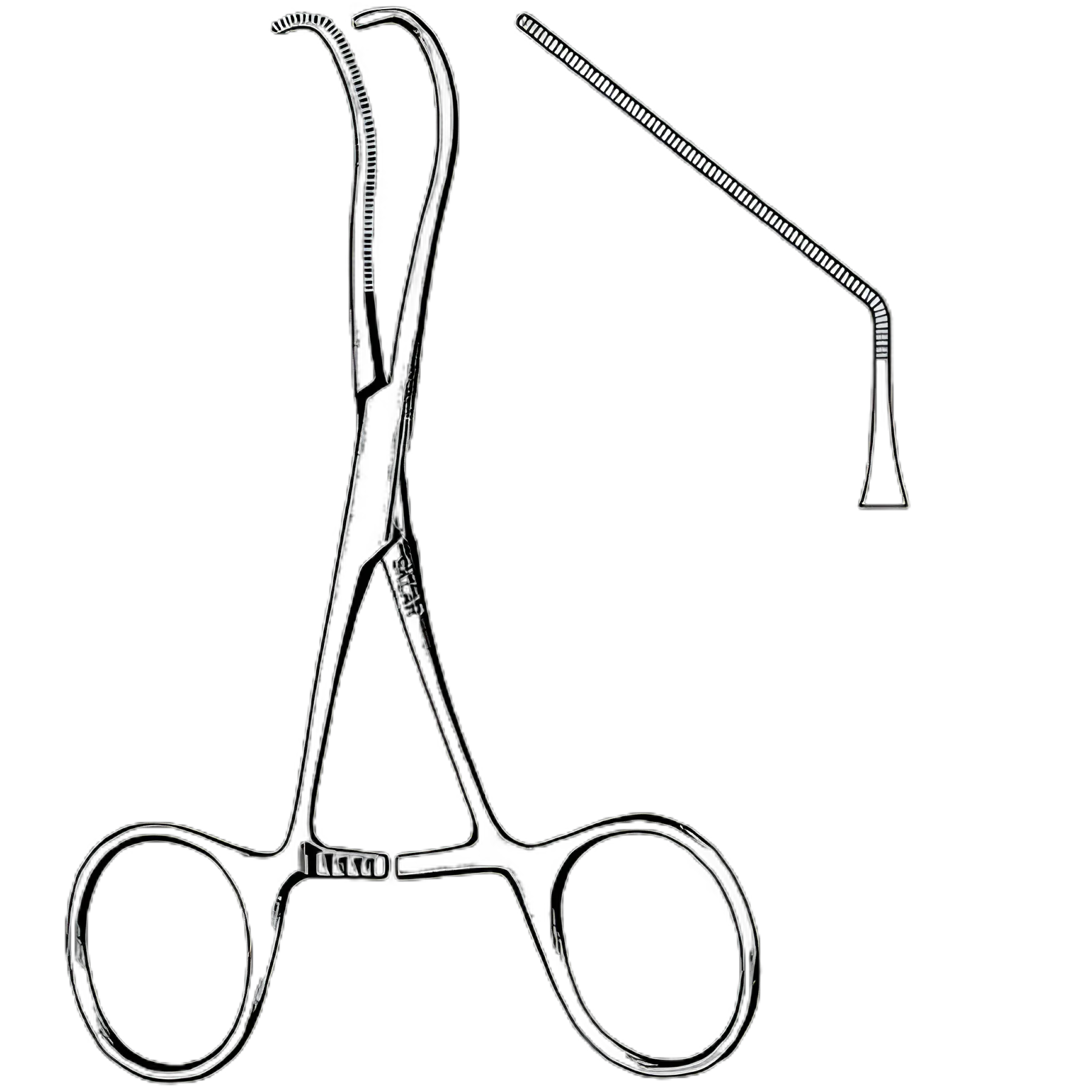 Neonatal Clamp Sklar® Castaneda 5 Inch Length Stainless Steel