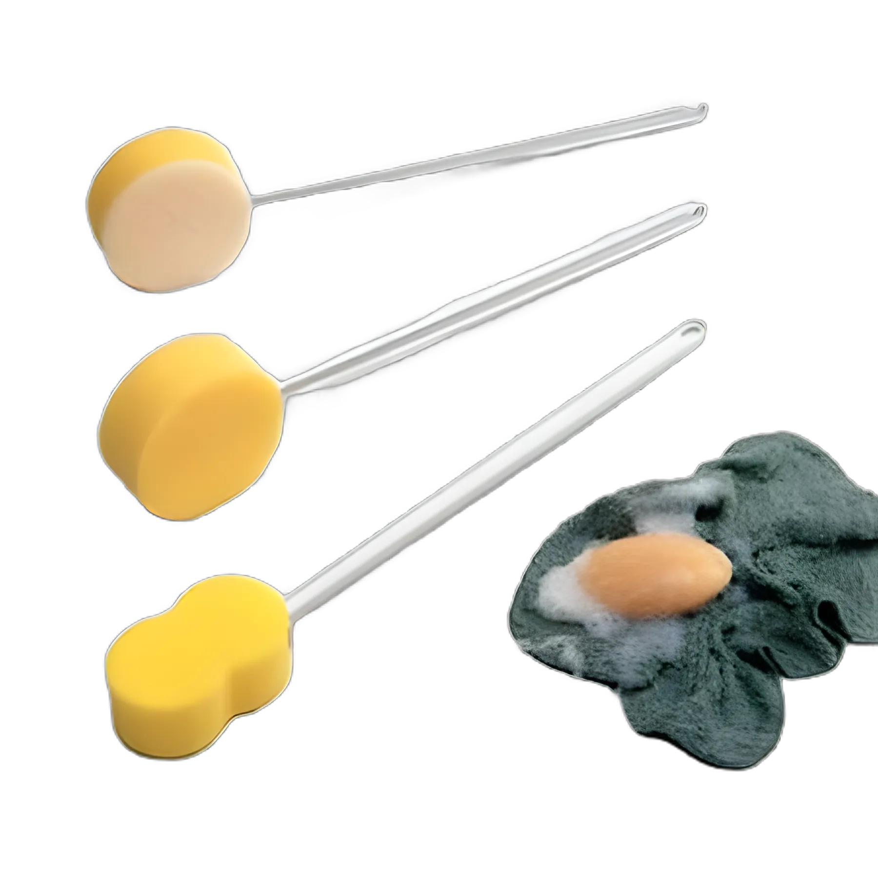Bath Sponge Sammons Preston® 22-1/2 Inch Handle - 629925