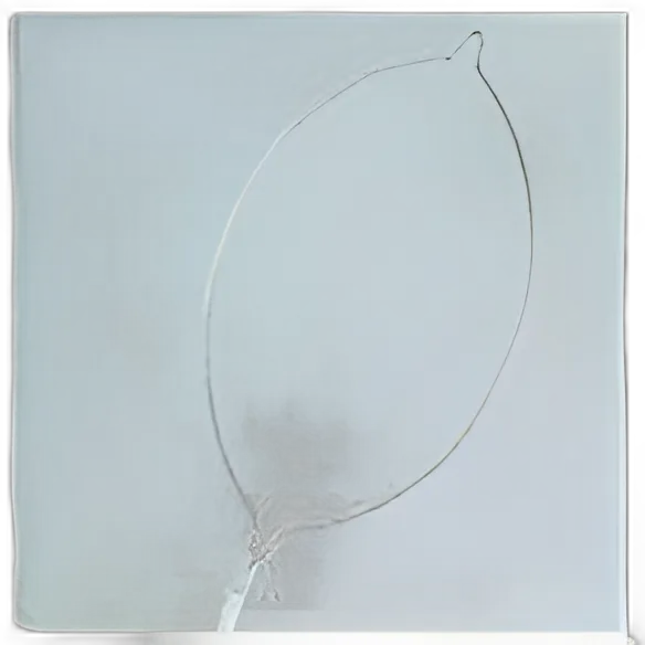 Polypectomy Snare SnareMaster Oval Loop 2300 mm - SD-9U-1.B