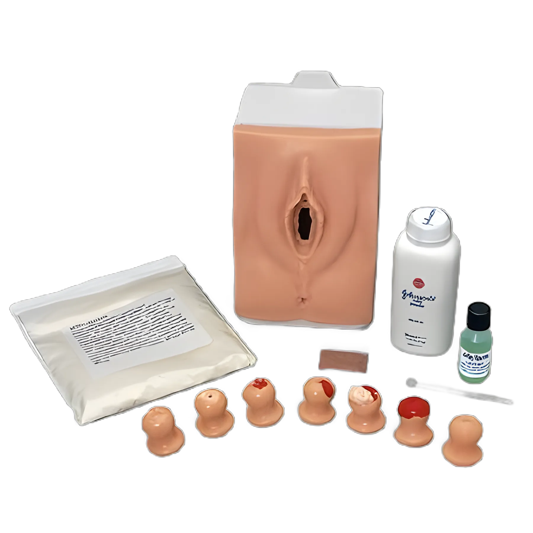 Life/form® Cervical Exam & Pap Smear Training Simulator