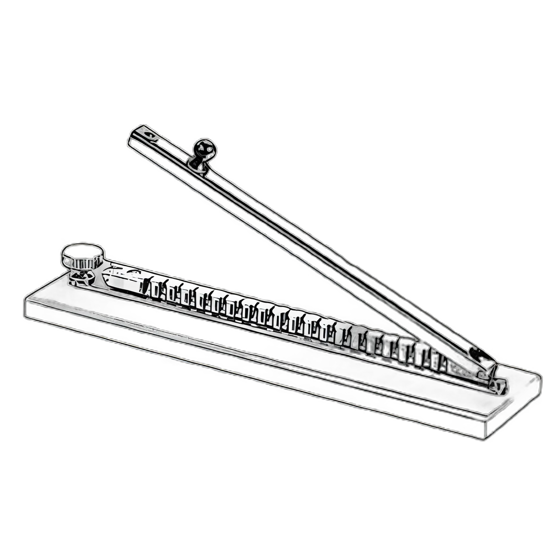 Brain Clips Sklar®