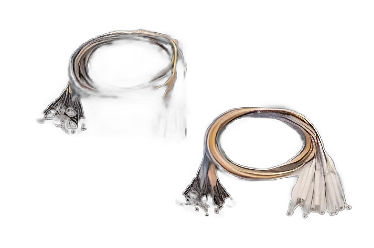 EEG Electrode Gold Cup Non-Radiolucent 12 per Pack