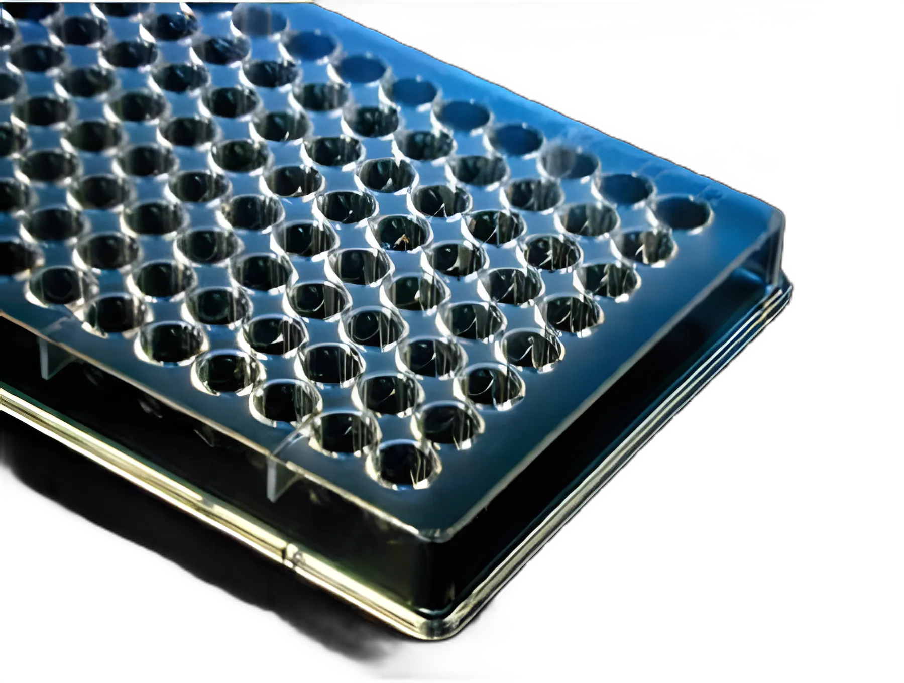 96-Well Microplate V Shaped Bottom 300 µL Clear NonSterile