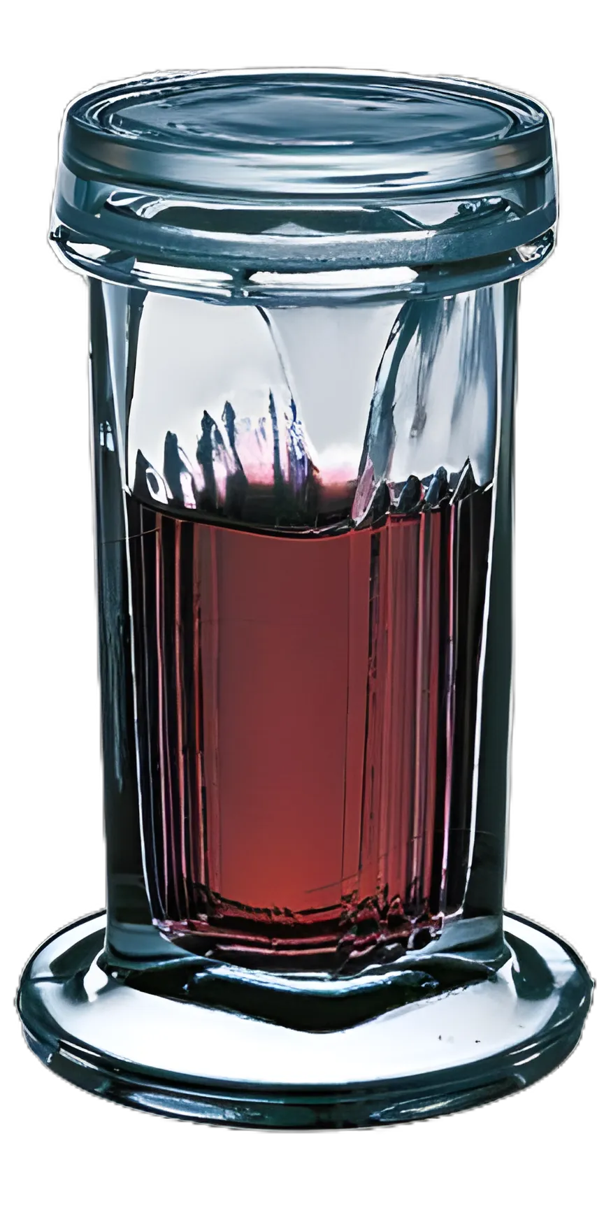 Staining Dish Fisherbrand™ Ground Glass 10 Slide Capacity