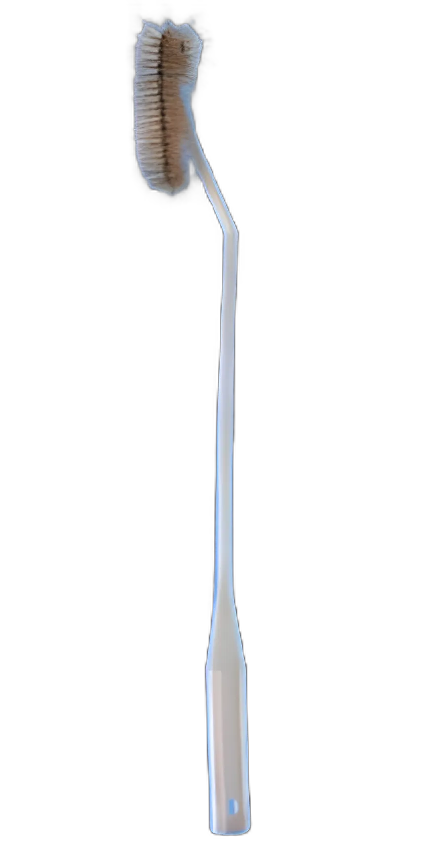 Fisherbrand® Flask Brush 16 Inch L, Bristle: 1.5 OD X 4 L Inch, Plastic Shaft and Handle, Extended Bristled End, Unbleached White Hog Bristles Flask / Bottle