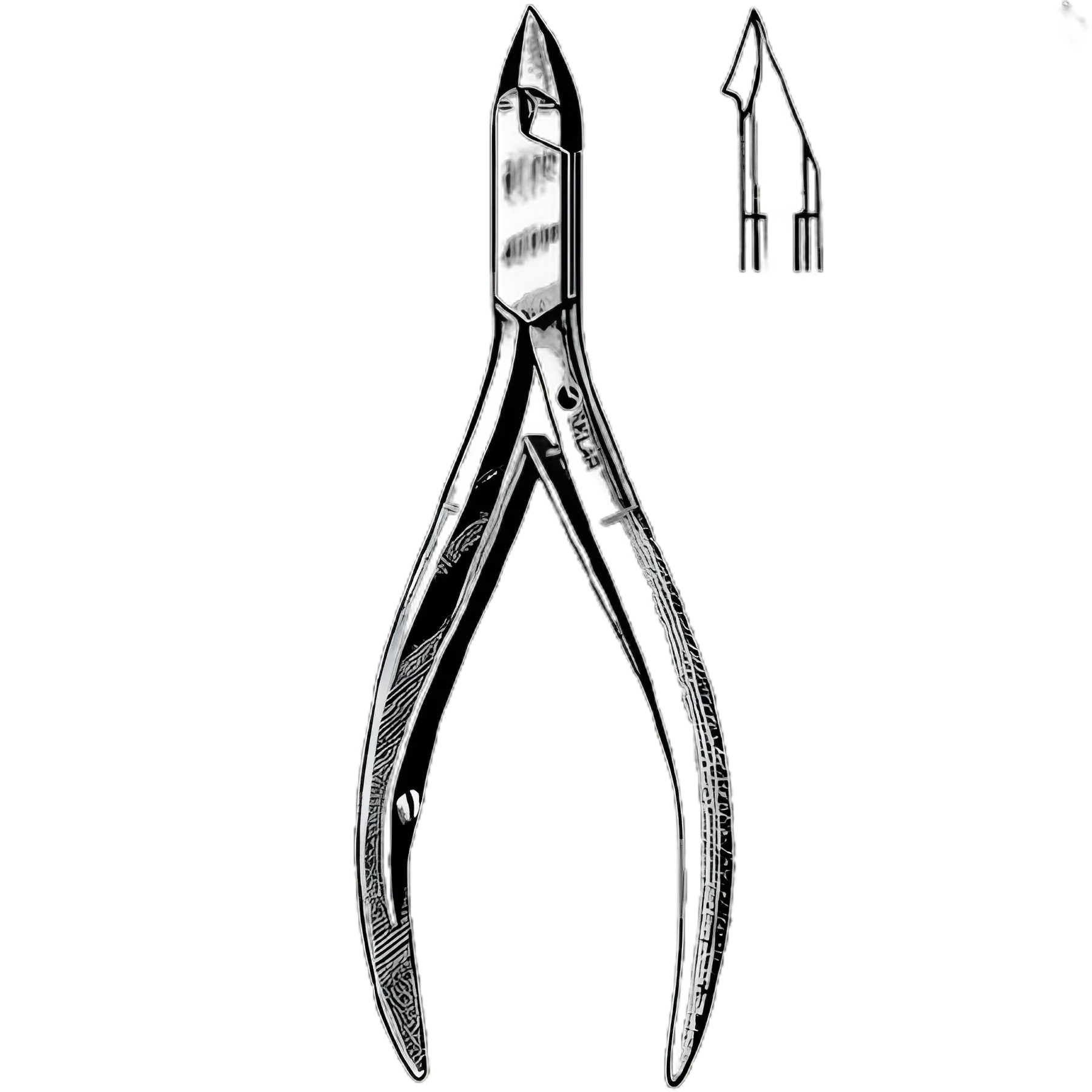 Tissue / Nail Nipper Convex Jaw 4 Inch Length German Stainless Steel