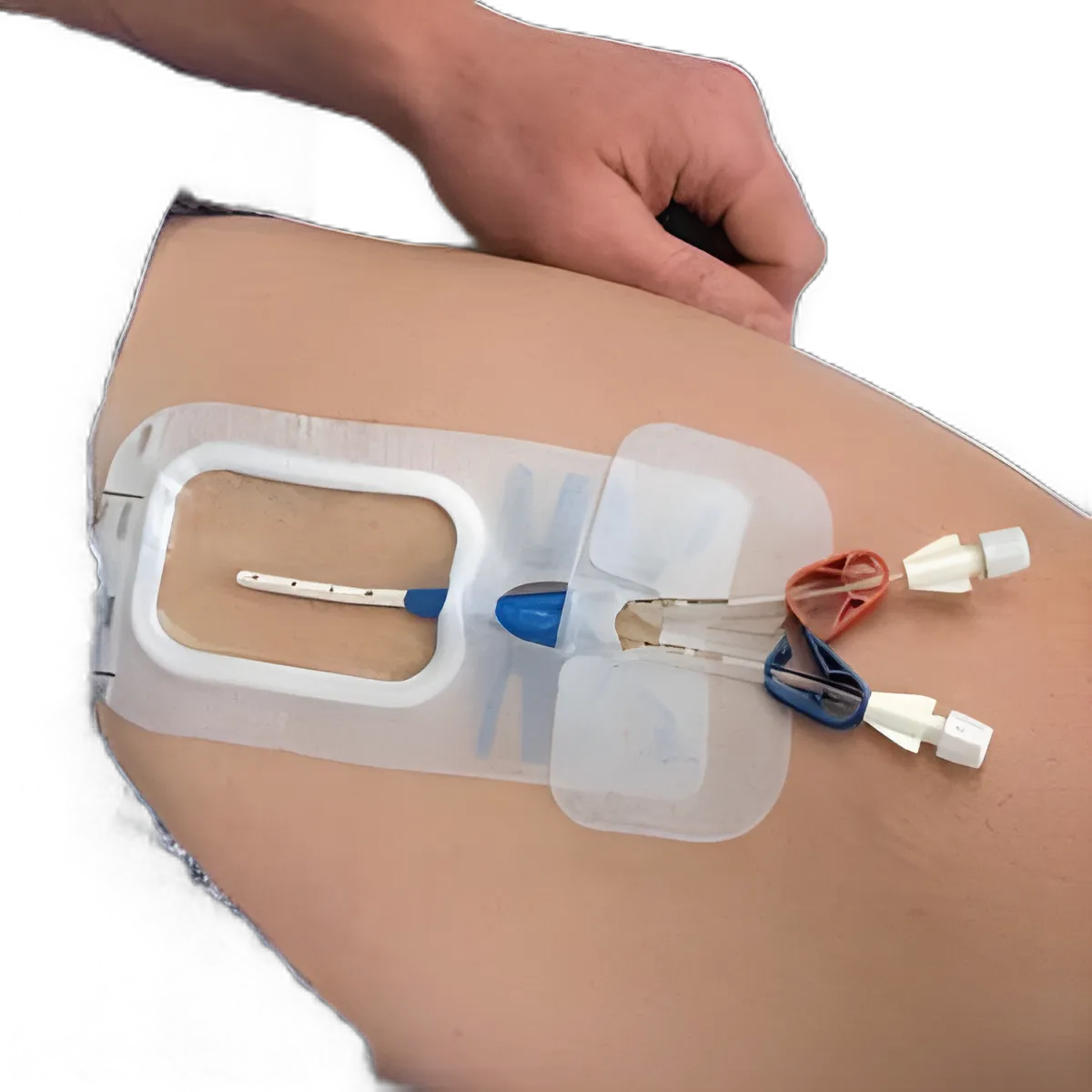 productImage