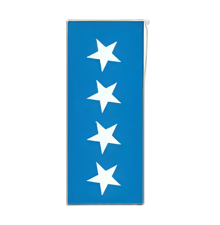 Key Surgical® Multipurpose Sterilization Labels - Light Blue with Star Symbol, 8.5 x 11 Inch, Paper
