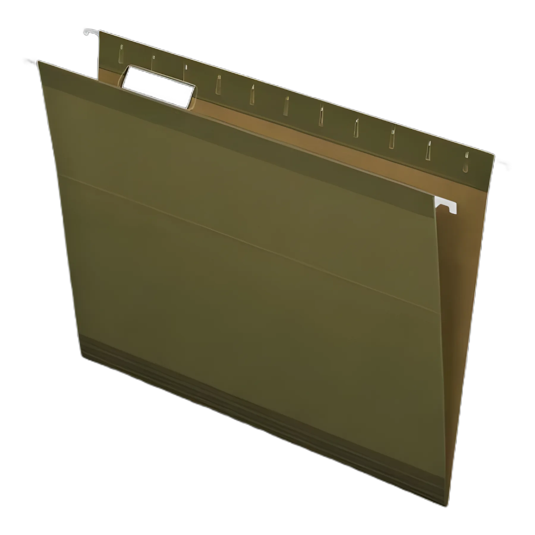 Reinforced Hanging File Folders with Printable Tab Inserts, Letter Size, 1/5-Cut Tabs, Standard Green, 25/Box
