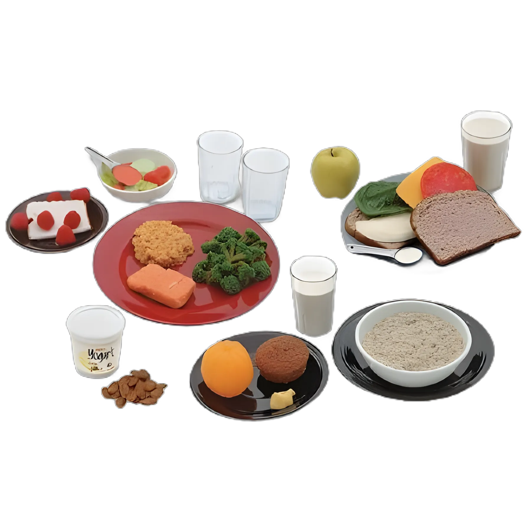 Day’s Intake Food Replica Kit for Nutritional Education