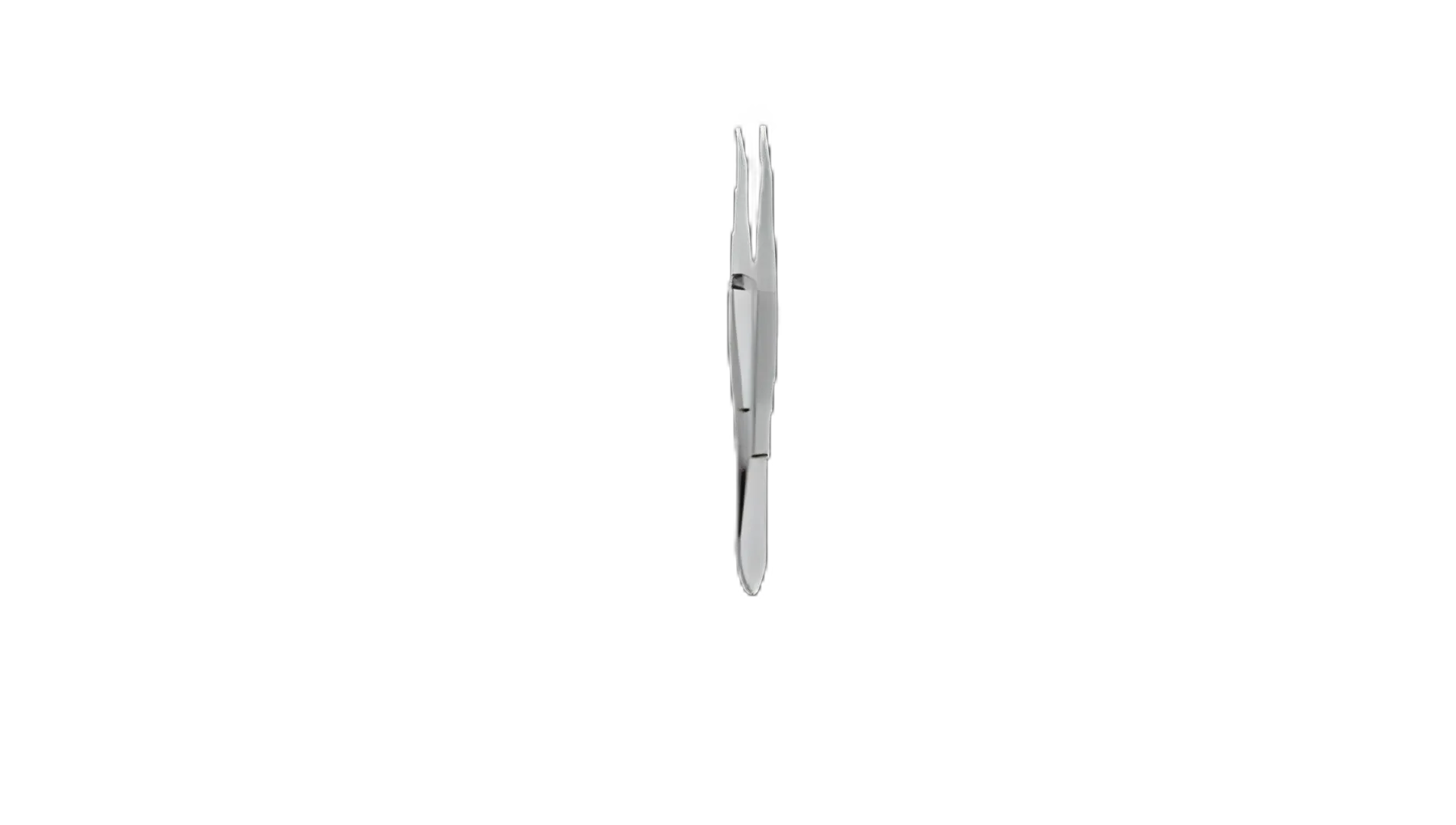 Barraquer Cilia / Suture Forceps 4-1/8 Inch, Stainless Steel, NonSterile