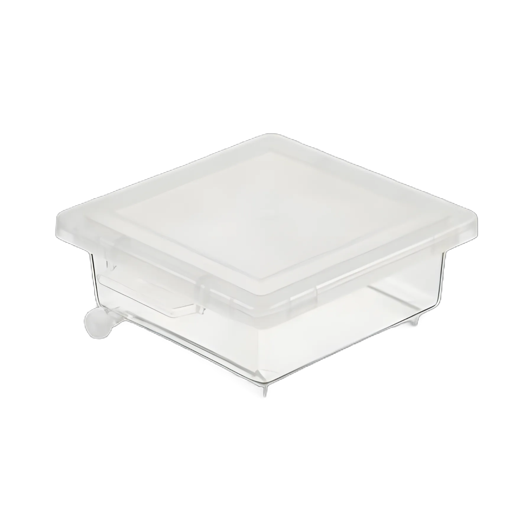 Nalgene™ Staining Box for Electrophoresis Gels and Membranes - Thermo Scientific